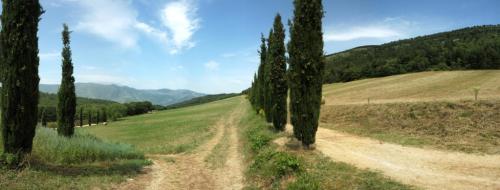 sentiero per la visita del lupo all'interno della Riserva di Monte Rotondo