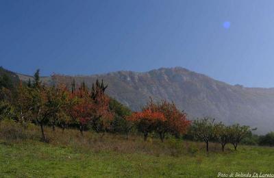 Riserva naturale di Monte Rotondo